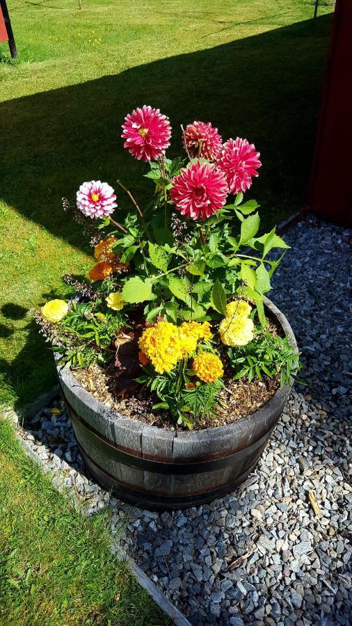 Torcroft Lodges Drumnadrochit Esterno foto