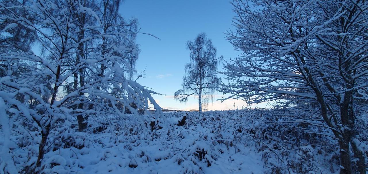 Torcroft Lodges Drumnadrochit Esterno foto