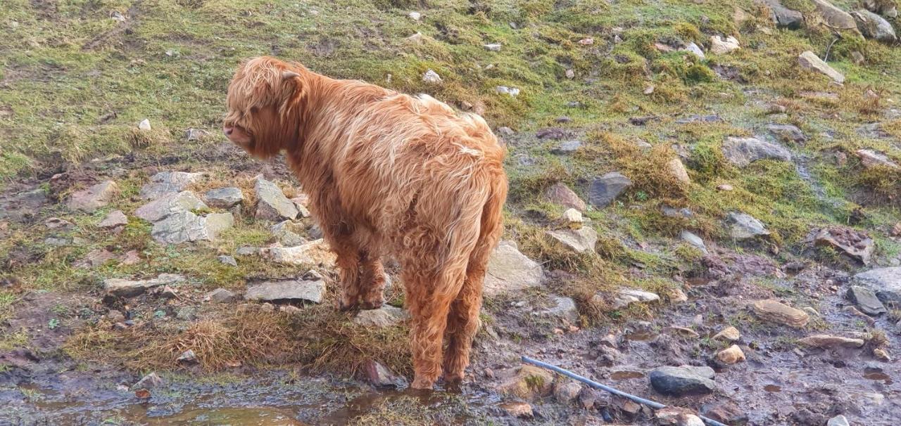 Torcroft Lodges Drumnadrochit Esterno foto