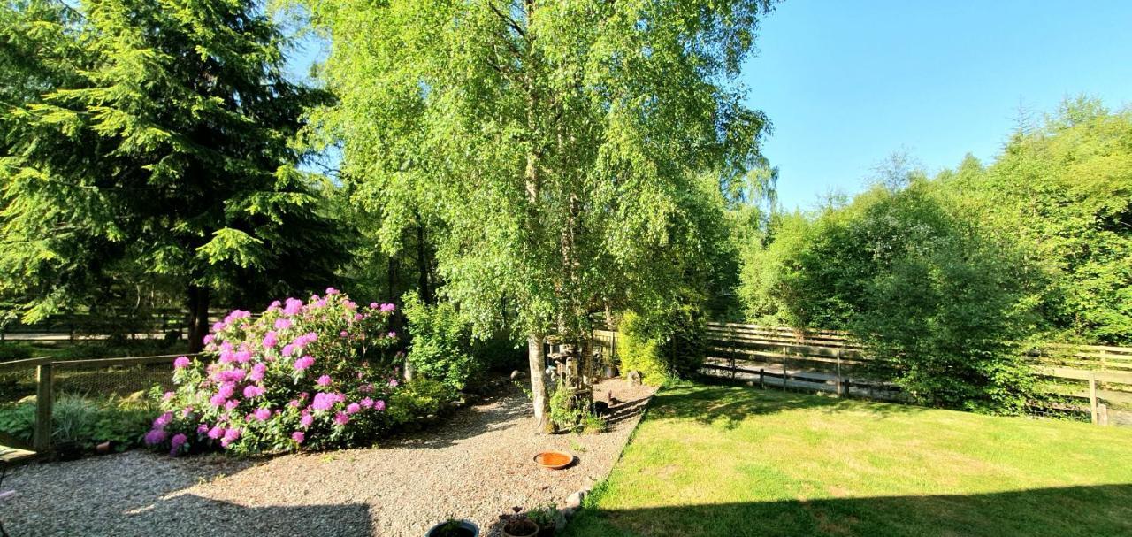 Torcroft Lodges Drumnadrochit Esterno foto