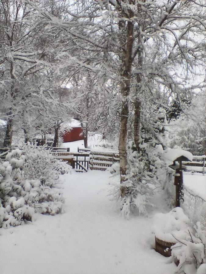 Torcroft Lodges Drumnadrochit Esterno foto