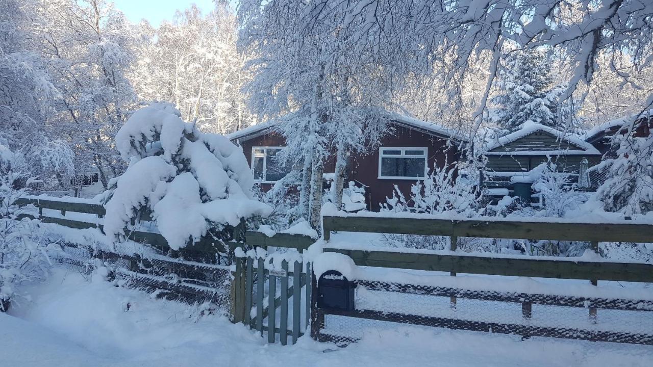 Torcroft Lodges Drumnadrochit Esterno foto